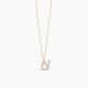 Collar de oro 18K circonitas N ABECEDARY