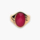 Sello hombre oval dibujo 2 lados gallón de oro 18K circonita cúbica