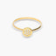 Anillo de oro 18K