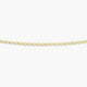 Cadena de oro 18K 40 cm