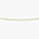 Cadena de oro 18K 45 cm