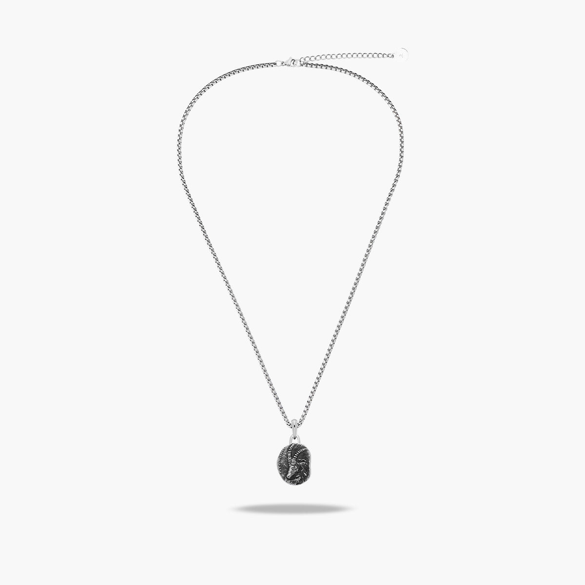 Collar de acero Capricornio