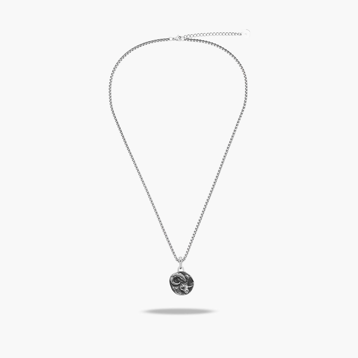 Collar de acero Aries