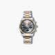 Reloj Viceroy Chic 42443-97 acero bicolor esfera marrón y verde