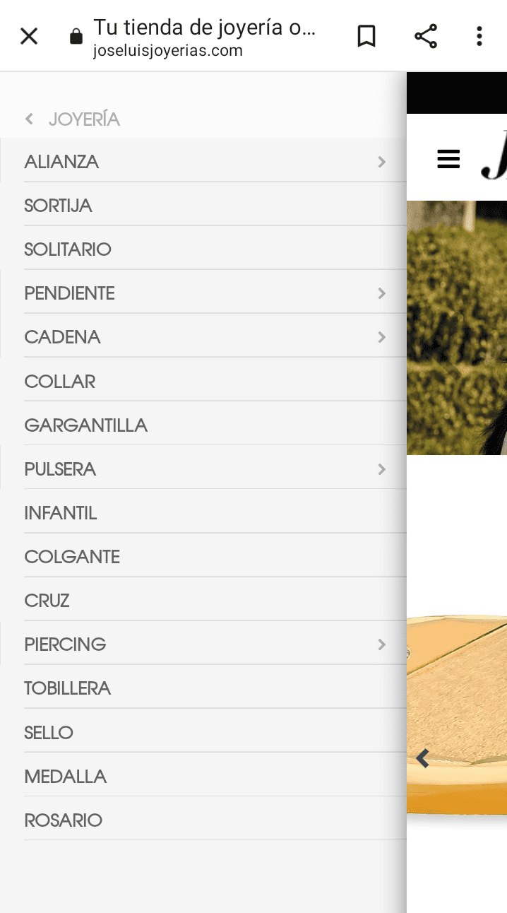 Menu principal movil