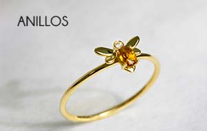 Anillos