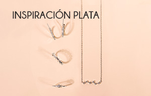 Inspiración plata