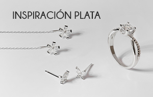 Inspiración plata